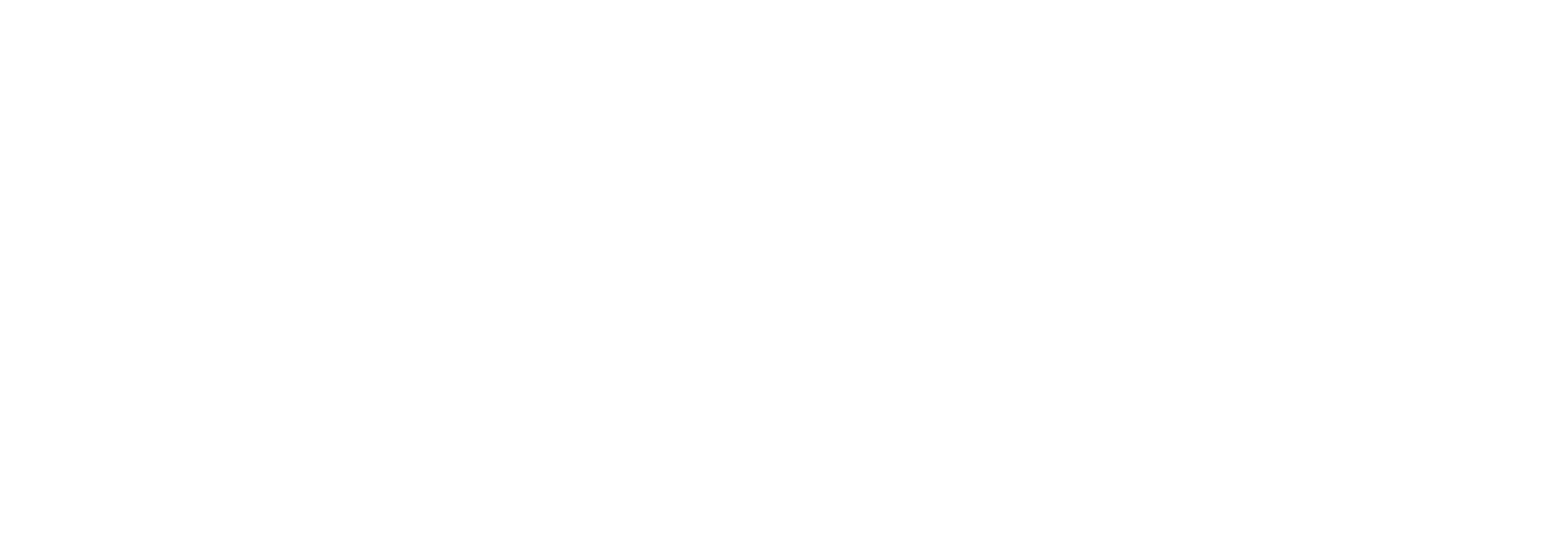 Partner-Logo